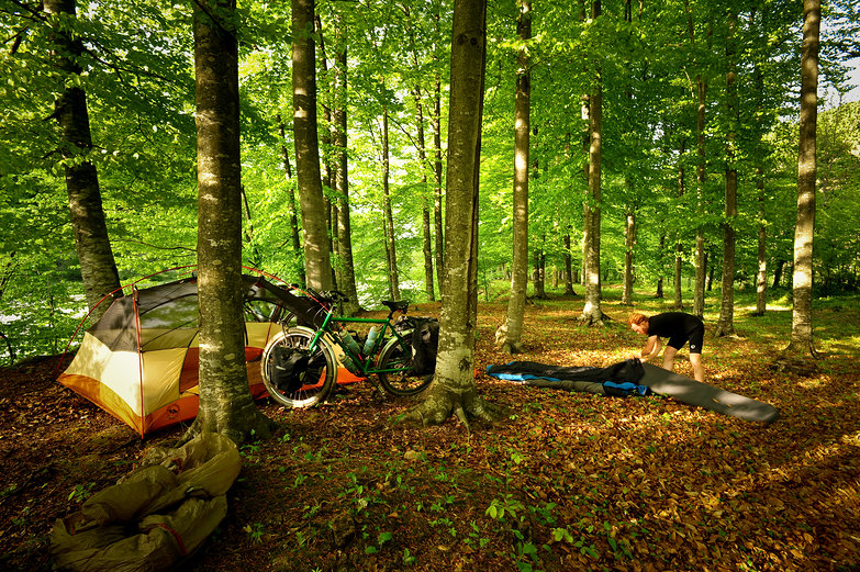 A night camp in the gir forest essay writing image